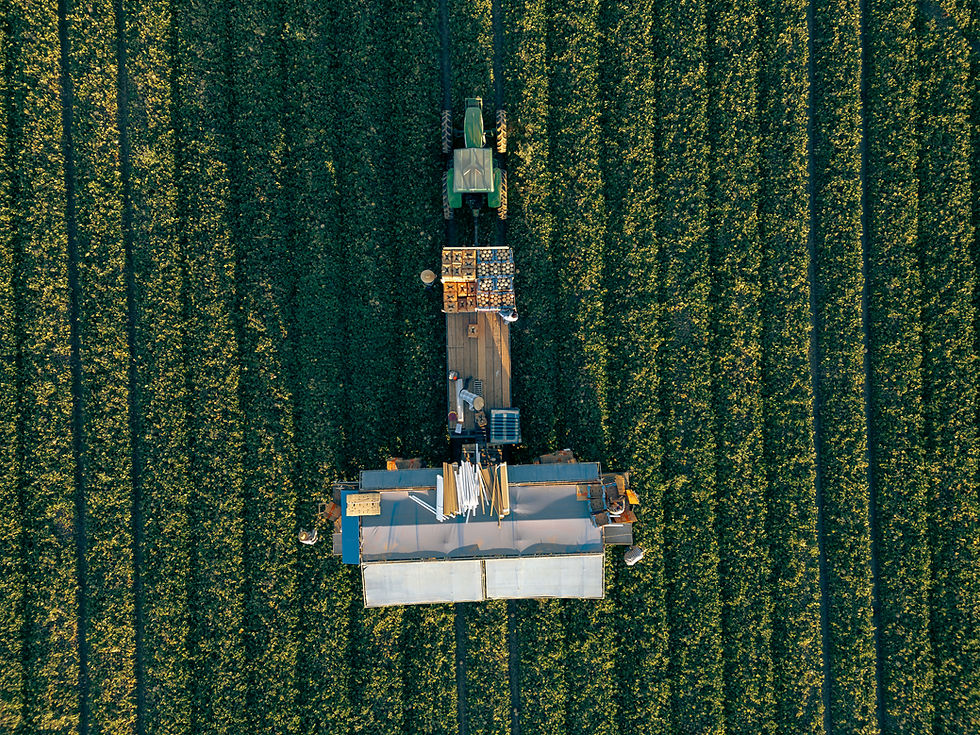 DJI_0150.jpg