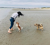 Screenshot 2023-02-06 at 20.57.02.png