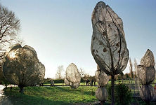 Berower-ark in Riehen.jpg