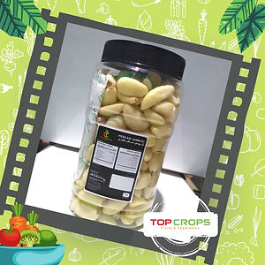 Top Crops Peeled egyptian Garlic Jar with Nitrogen
