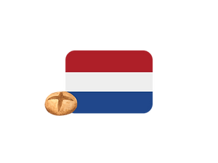 8.png
