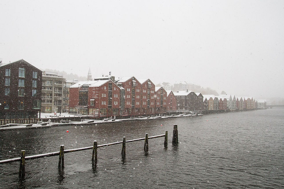 Trondheim_(8273935869)