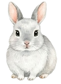 7c548792-1b5e-4ac0-9bd9-608e92a7243c_edited.png