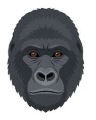 Gemini_Generated_Image_q3rtonq3rtonq3rt-removebg-preview_edited.png