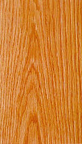Basswood, 椴木
