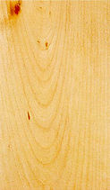 Basswood, 椴木