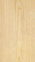 Basswood, 椴木