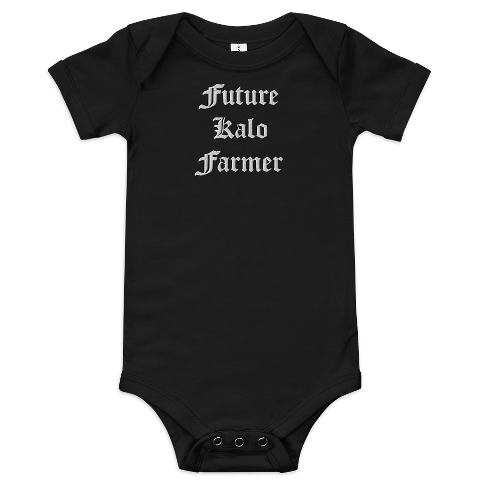 Future Kalo Farmer Baby short sleeve one piece