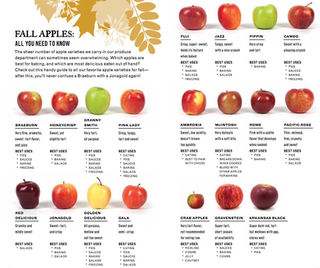 Apple scale shop