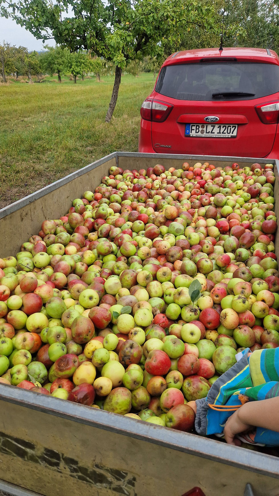 Building Your Village Abroad: How to Find Community as an Expat in Germany