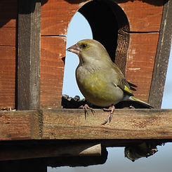 DSCN1269_edited.jpg