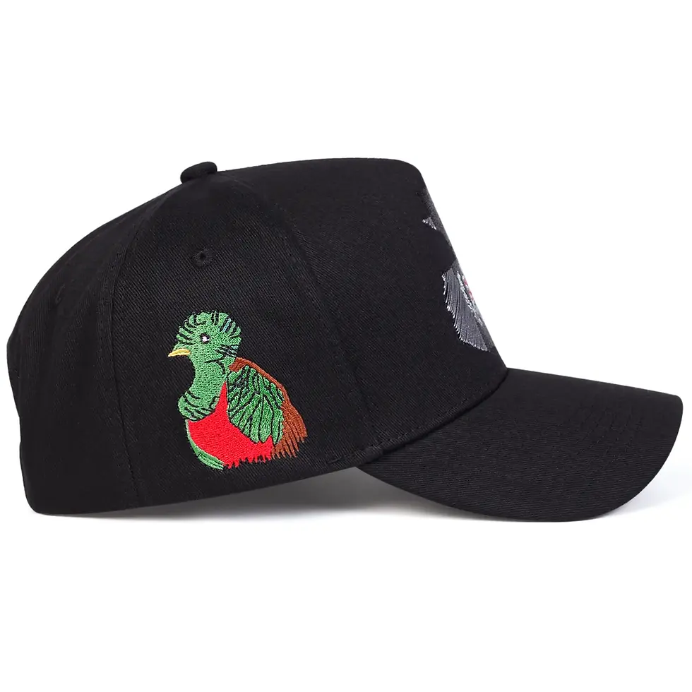Küçük resim: Unisex USA Map Embroidery Baseball Caps