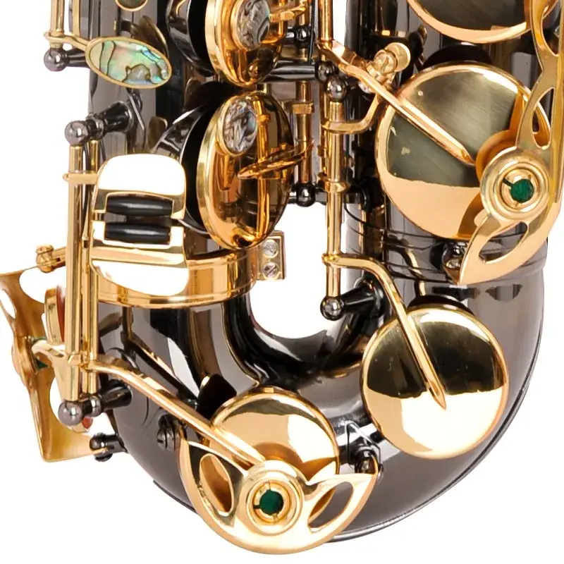 Küçük resim: Professional E-Flat Alto Saxophone, Black Nickel & Gold Finish