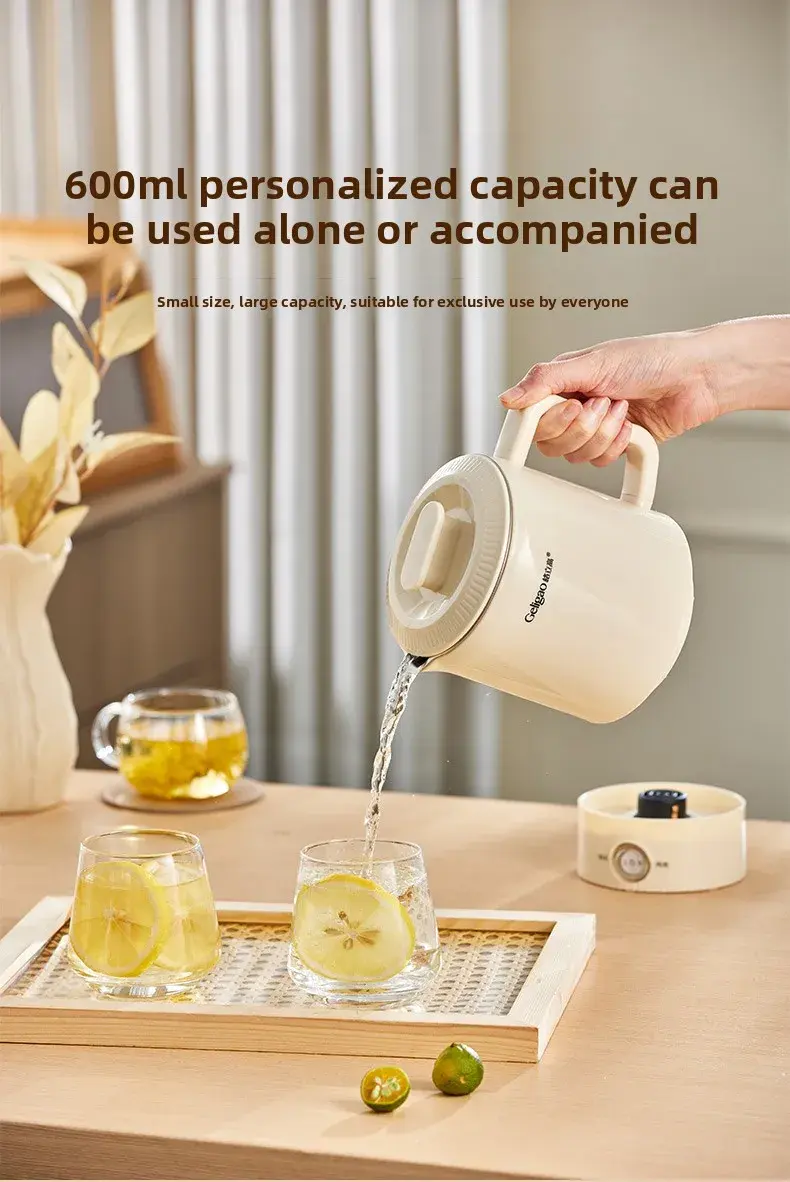 220V Geligao Portable Stainless Steel Travel Kettle Foldable