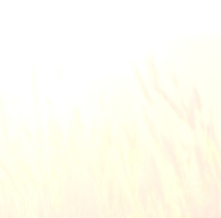 Golden Wheat Field_edited_edited_edited.