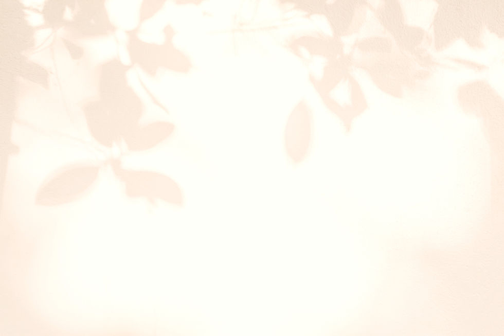 Leaves Shadow_edited.jpg