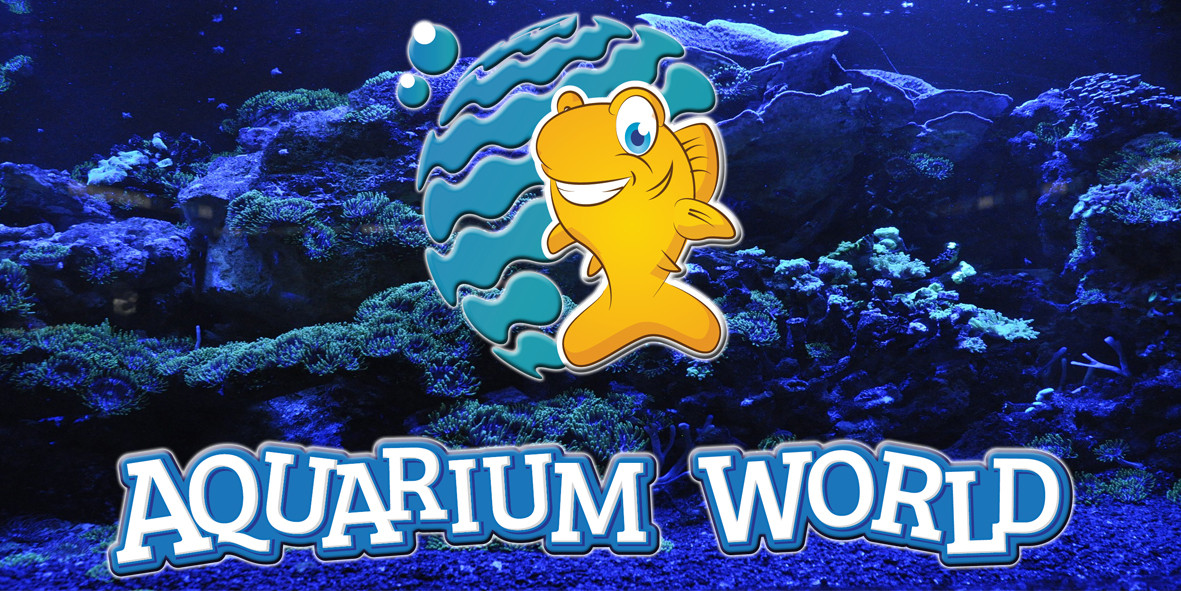 Aquarium Shop South Australia Aquarium World