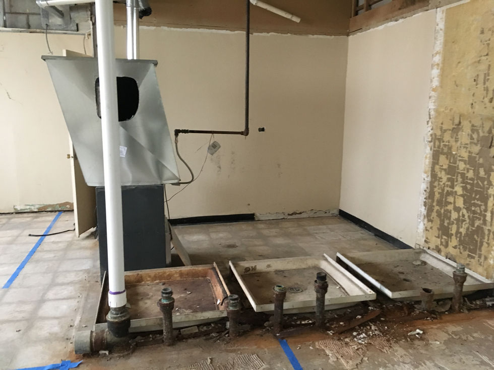 "Before" photo, interior view, basement rear, February 2019