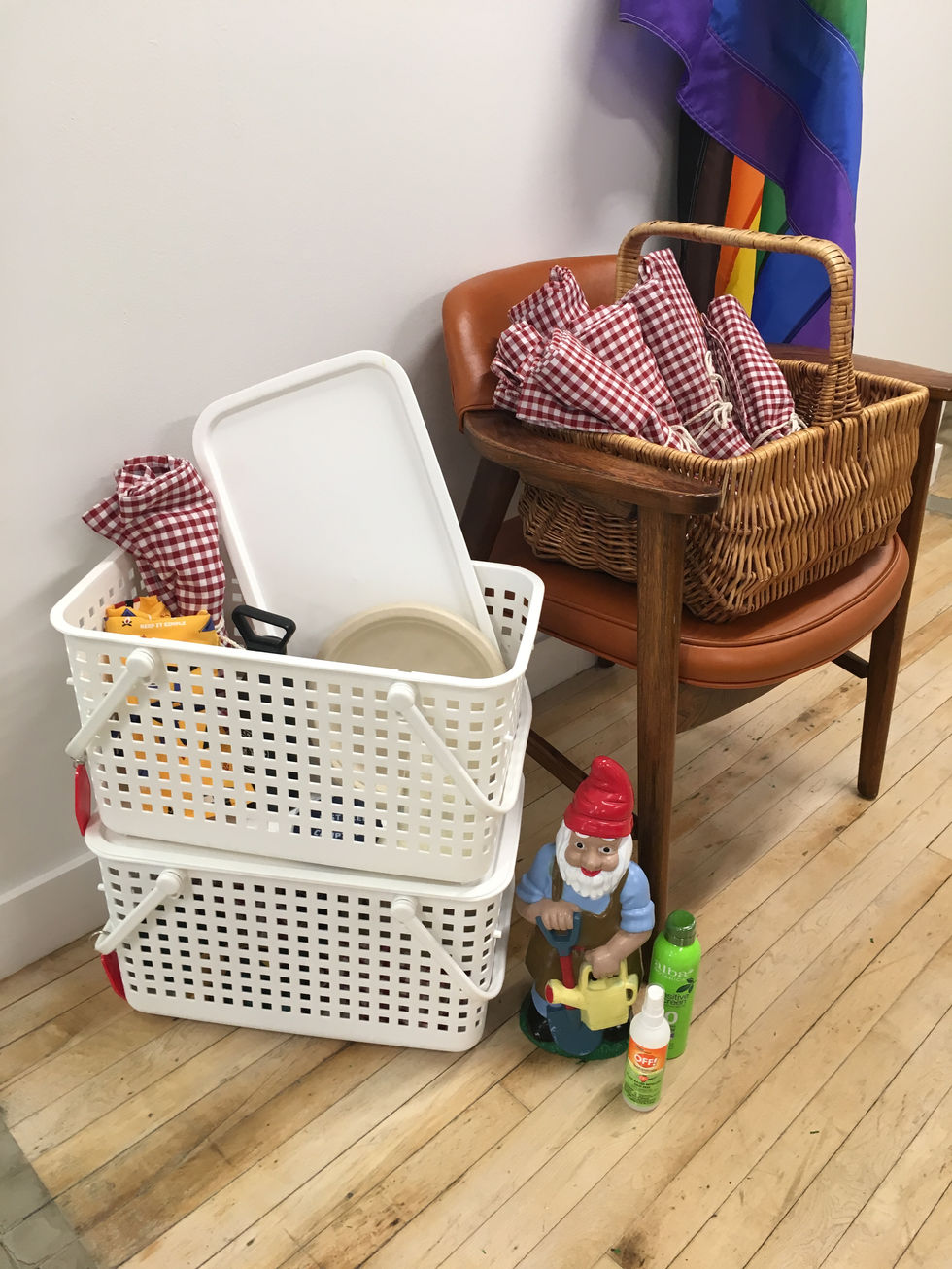 Camp ChIDEO vignette