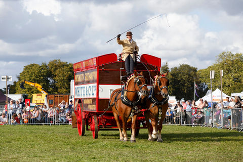 romsey show.jpg