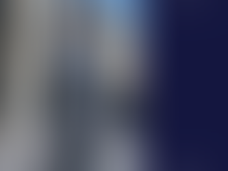 『글로벌 실행(Execution)으로, 경영컨설턴트의 파리 현지 전략』