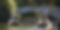 punting_main.jpg