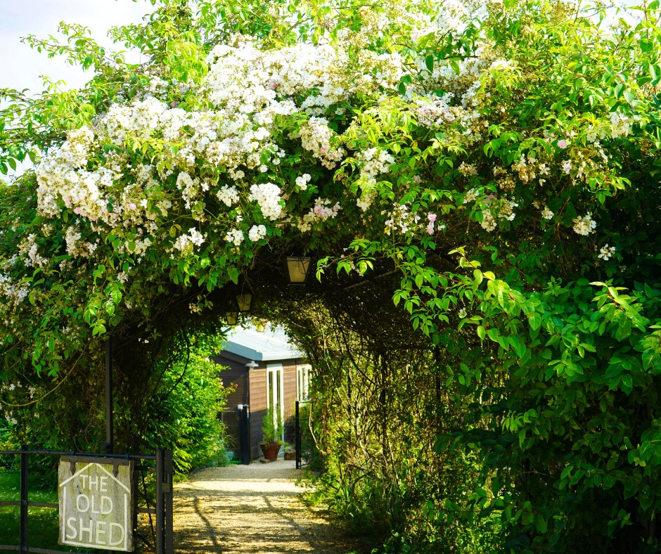 The Old Shed in Chipping Norton