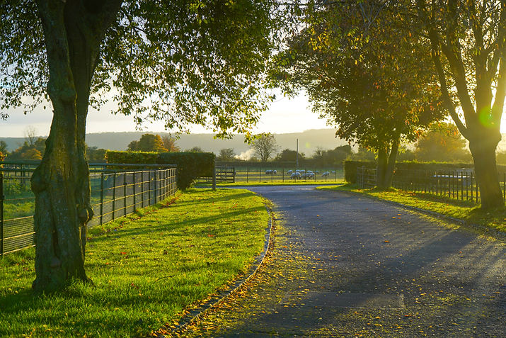 Banbury Hill Farm.jpg