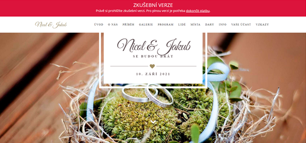Svatební web nebo neplacené platformy? SVATEBNÍ WEB, ROZHODNĚ ANO! 
