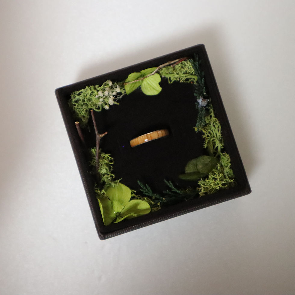 サムネイル： Forest