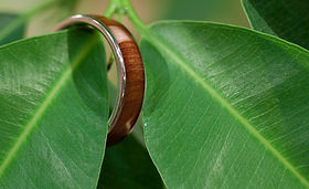 屋久杉のマリッジリング | NENRIN Bridal 屋久杉のマリッジリング | NENRIN Bridal