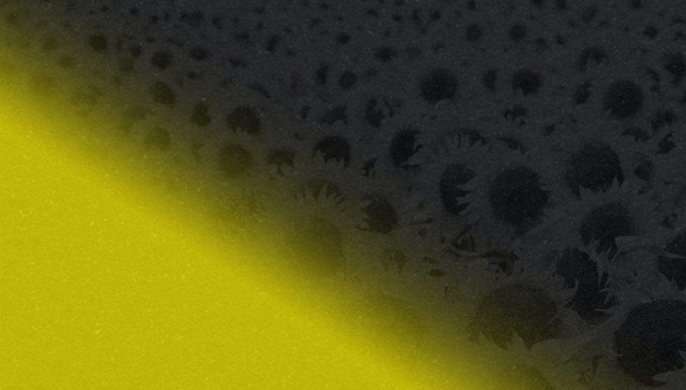 Web Slide Blank.png