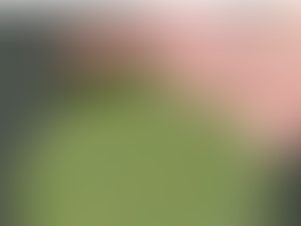 Introduction to Possible Solutions