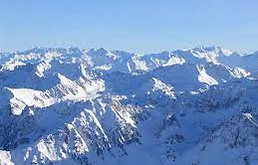 pyrenees snoe.jpeg