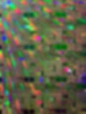 8BD584A2-F1C8-4A47-8747-776F0FF4ECFC_1_1