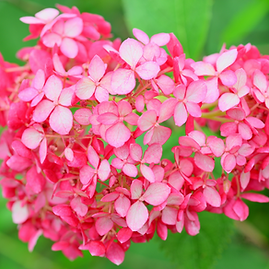 スクリーンショット 2025-12-11 19.33.43.png