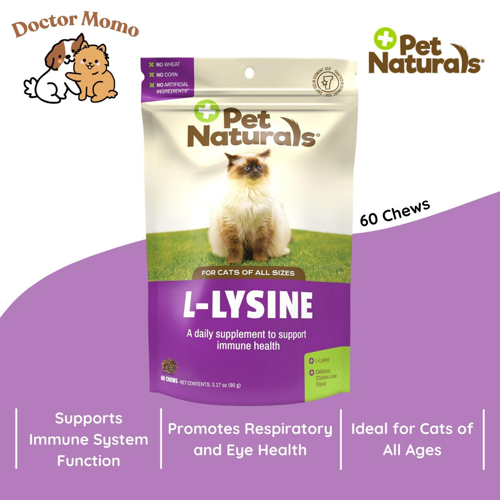 Pet Naturals L-Lysine