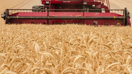 Drought Resilience Project Launched for NSW Horticulture Sector