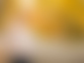 Member for Wagga Wagga says no to Voluntary Assisted Dying Bill