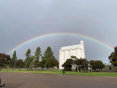 Lameroo Silo Art project progresses