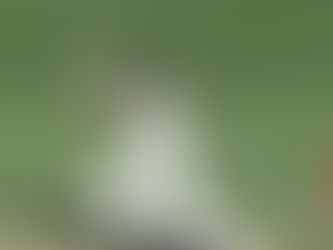 Whirlwind Head century justifies return