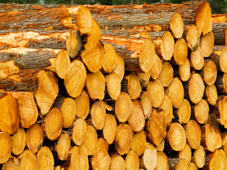 Basham praises deal on KI timber