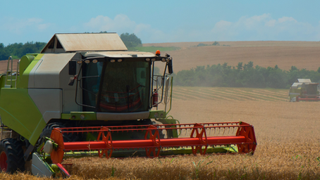 SA grain yield estimates rise on strong seasonal start