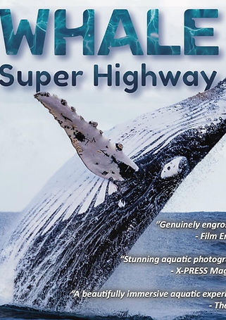 Whale superhighway_edited.jpg