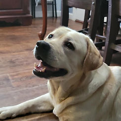 Star of the Sea Close Headshot.jpg