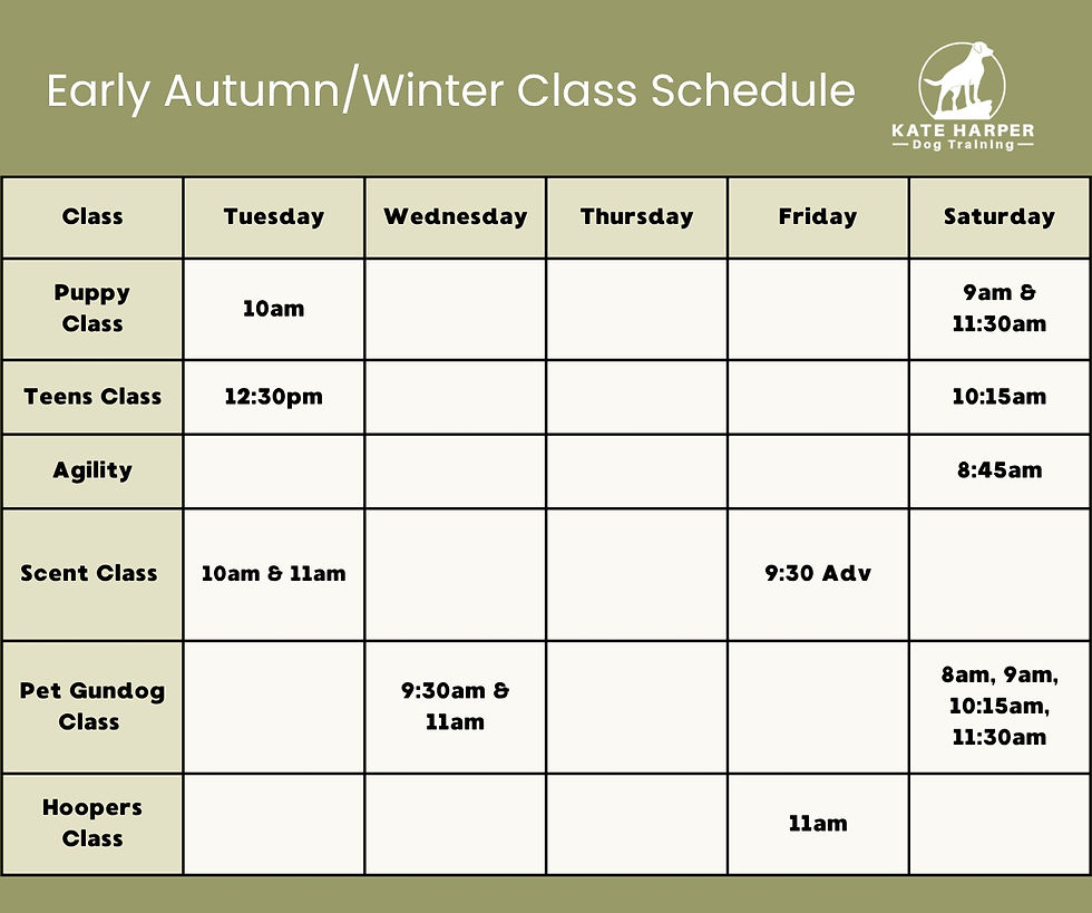 Early Autumn_Winter Class schedule 2026.jpg