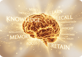 Memory Skills Mastery course for improving memory power, concentration, recall techniques, learning speed, exam preparation, information retention, and cognitive performance enhancement through proven memory training strategies.