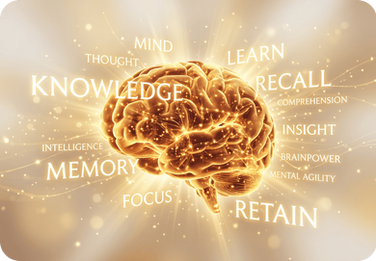 Memory Skills Mastery