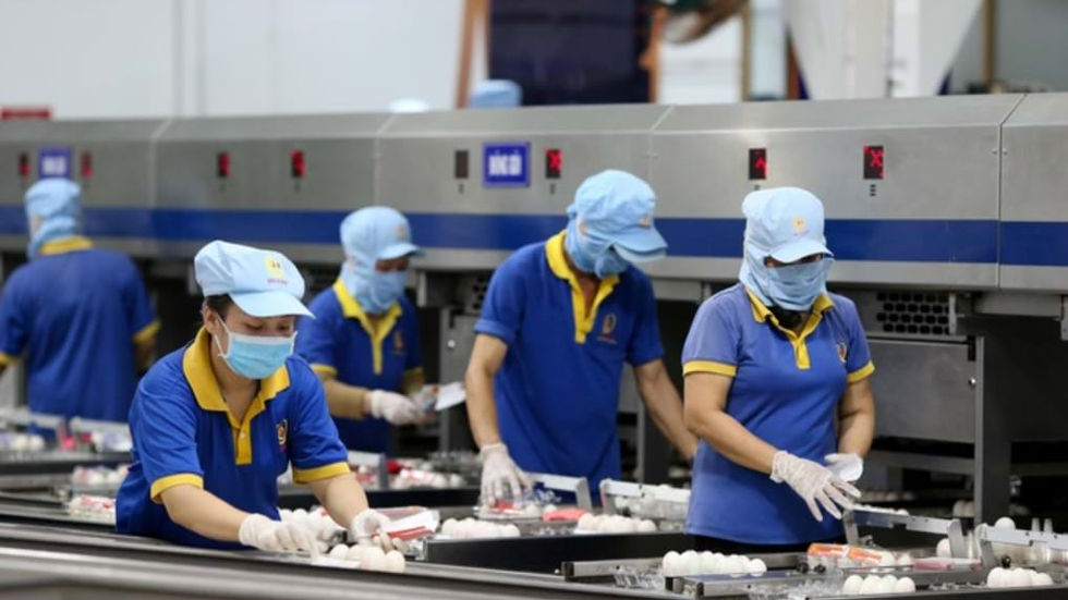 Capillaries of the Economy: Why Small Businesses Decide a Nation's Health