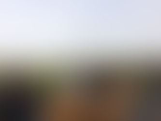 SEGUNDO DIA DE CAMPO - ALJUSTREL